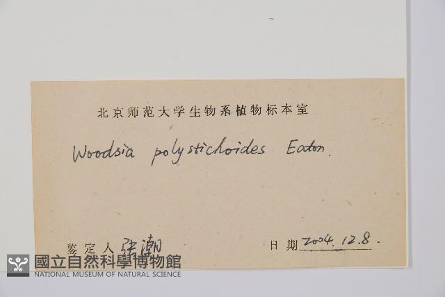 岩蕨藏品圖，第2張