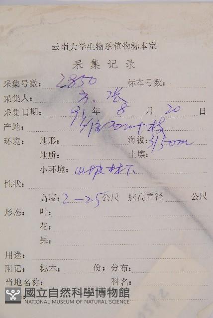 登錄號:P003632藏品圖，第2張