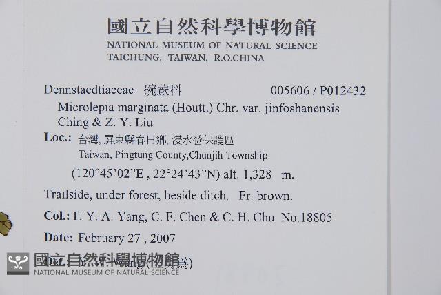 登錄號:P012432藏品圖，第2張