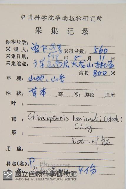 崇澍蕨藏品圖，第2張