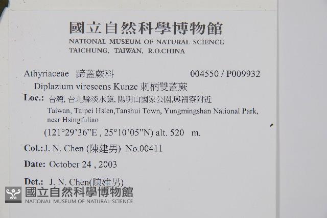 刺柄雙蓋蕨藏品圖，第5張