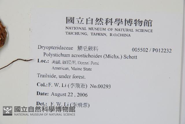 登錄號:P012232藏品圖，第2張