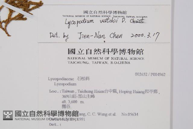 玉山石松藏品圖，第2張