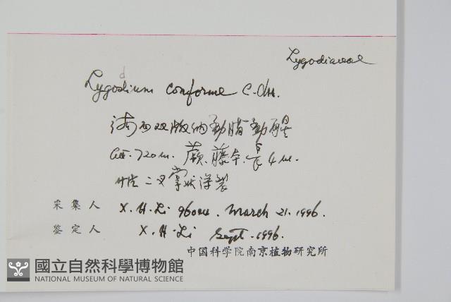 海南海金沙藏品圖，第2張