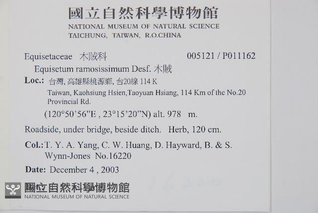木賊藏品圖，第2張