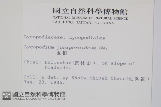 玉柏藏品圖，第2張