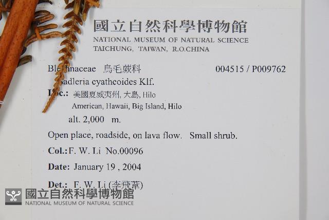 登錄號:P009762藏品圖，第5張