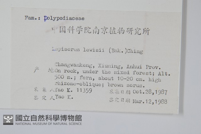 廬山瓦葦藏品圖，第2張