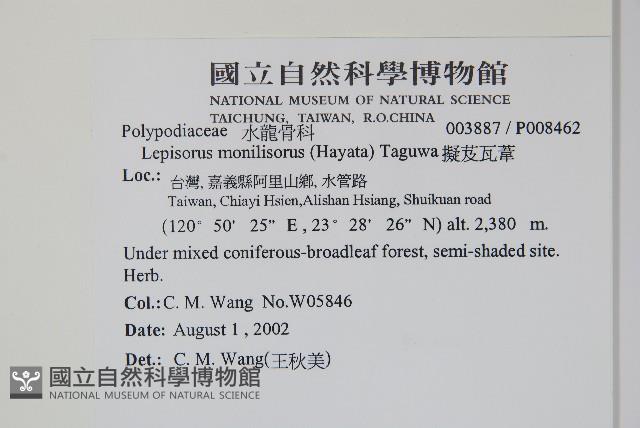 擬芨瓦葦藏品圖，第2張