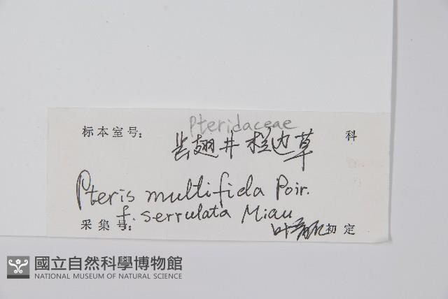 登錄號:P012862藏品圖，第2張