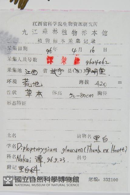 裡白藏品圖，第2張