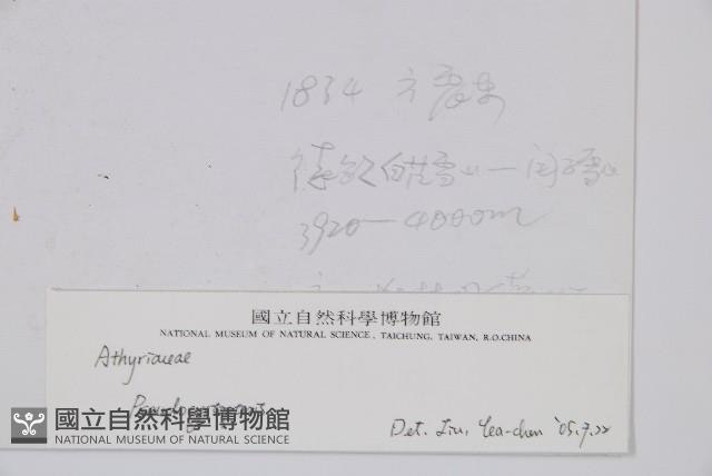 登錄號:P003862藏品圖，第2張