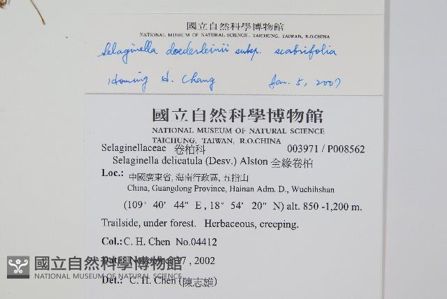 登錄號:P008562藏品圖，第2張