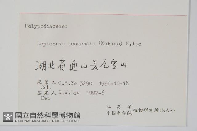 擬瓦葦藏品圖，第2張