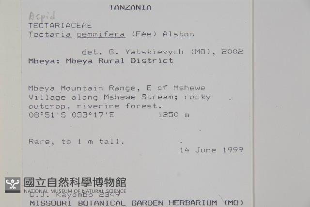 登錄號:P010042藏品圖，第2張