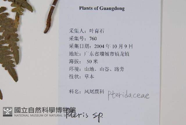 登錄號:P012542藏品圖，第2張