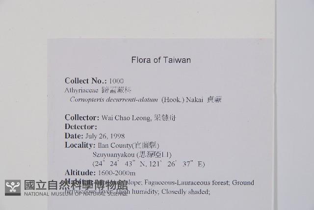 貞蕨藏品圖，第2張