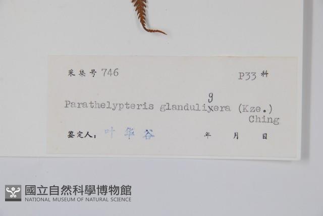 Accession Number:P005542 Collection Image, Figure 2, Total 2 Figures