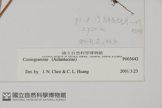 登錄號:P003642藏品圖，第2張