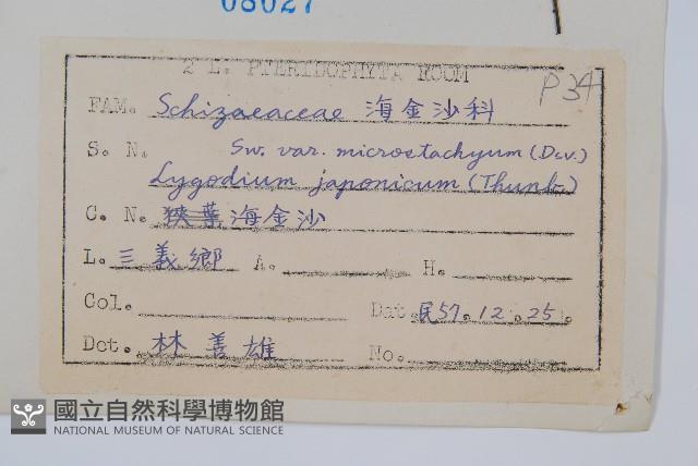 登錄號:P007642藏品圖，第2張