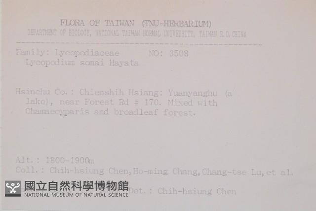 相馬氏石松藏品圖，第2張