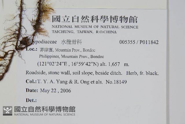 登錄號:P011842藏品圖，第2張