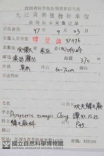 觀光鱗毛蕨藏品圖，第2張