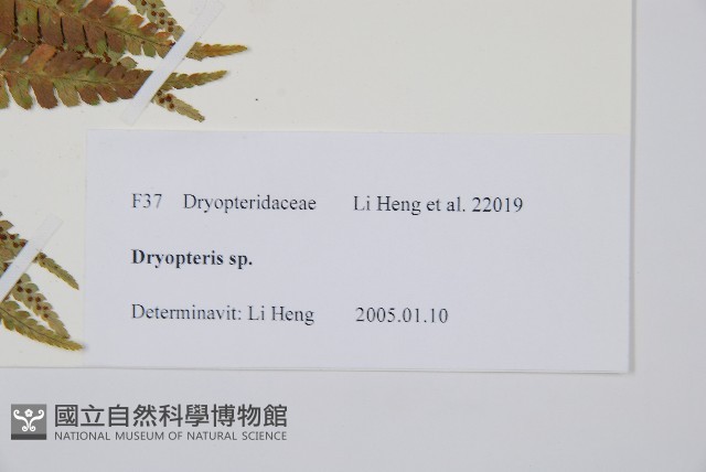登錄號:P010772藏品圖，第2張
