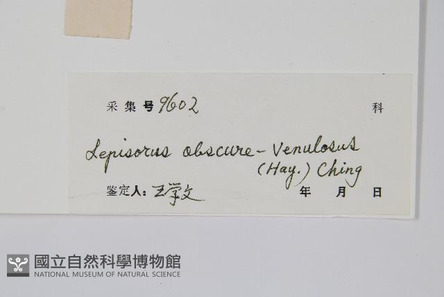 粵瓦葦藏品圖，第2張