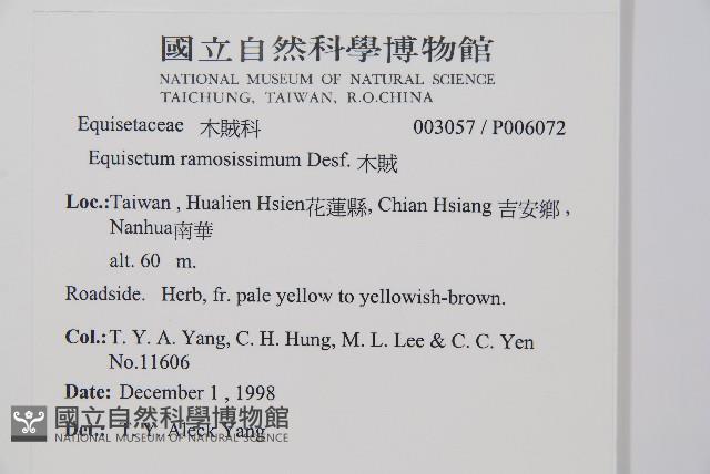 木賊藏品圖，第2張