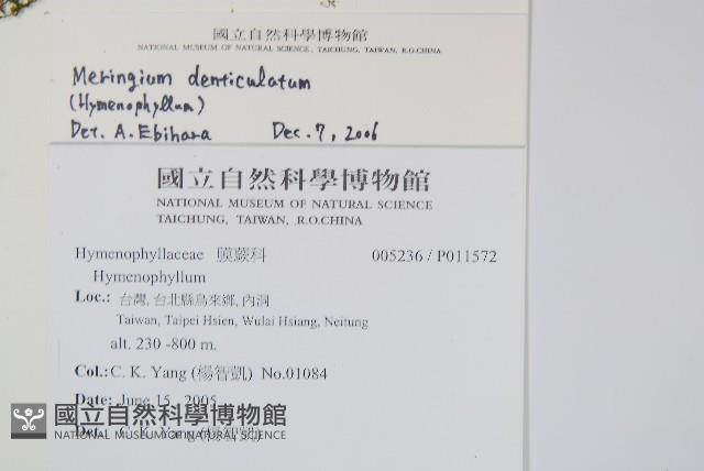 Accession Number:P011572 Collection Image, Figure 2, Total 2 Figures