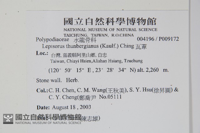 瓦葦藏品圖，第2張