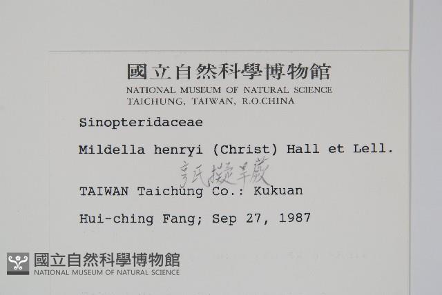 亨氏擬旱蕨藏品圖，第2張