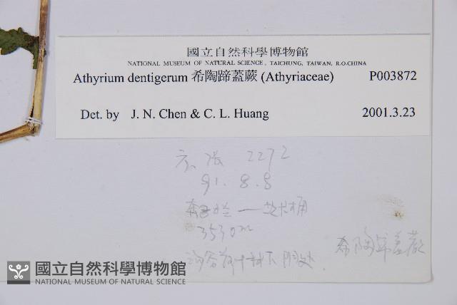 Accession Number:P003872 Collection Image, Figure 2, Total 5 Figures