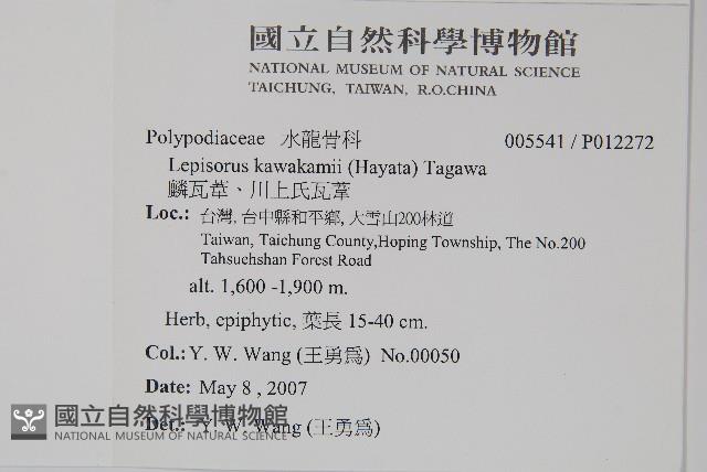 麟瓦葦、川上氏瓦葦藏品圖，第2張