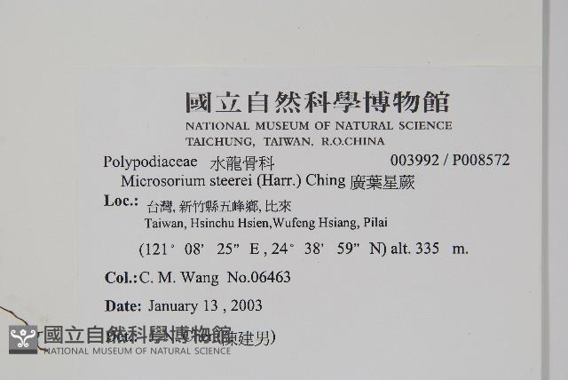 Accession Number:P008572 Collection Image, Figure 2, Total 2 Figures