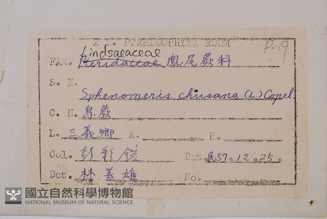 烏蕨藏品圖，第2張