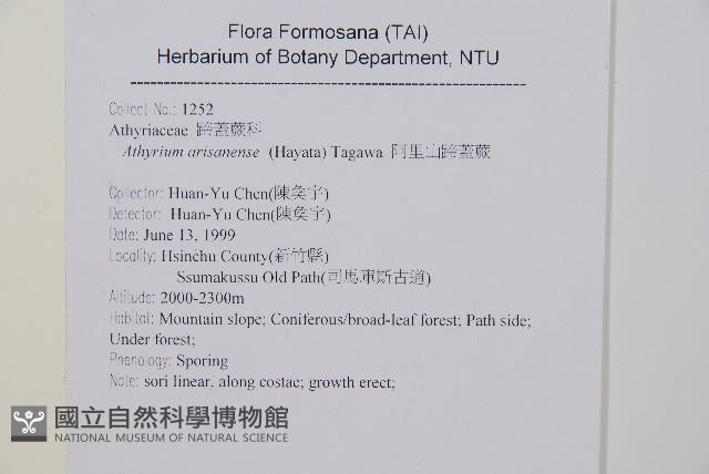 假軸果蹄蓋蕨、毛軸蹄蓋蕨藏品圖，第2張