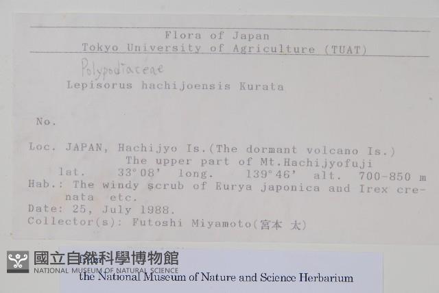 登錄號:P012782藏品圖，第2張