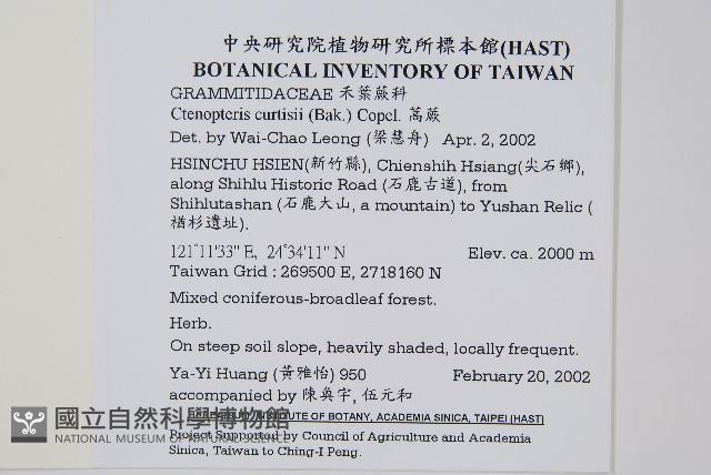 蒿蕨藏品圖，第2張