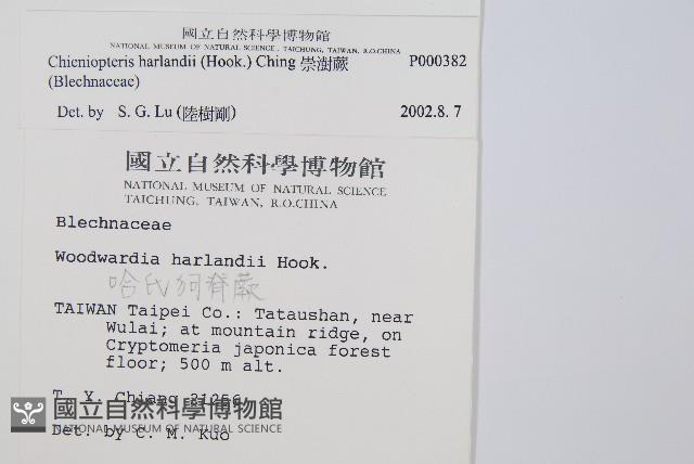 崇澍蕨藏品圖，第2張