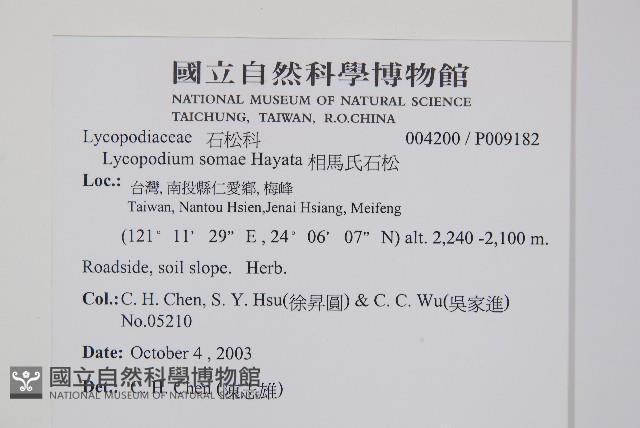 相馬氏石松藏品圖，第2張