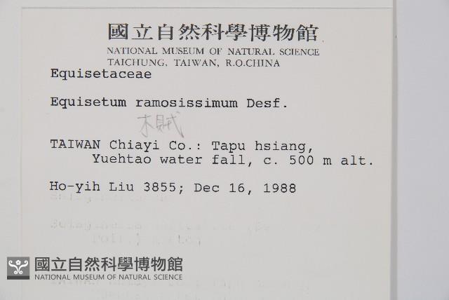 木賊藏品圖，第2張