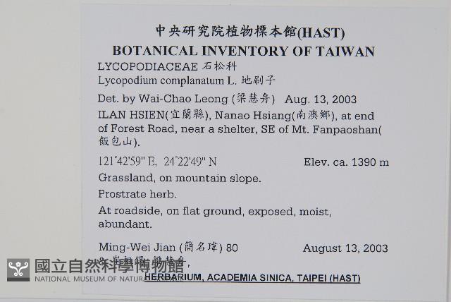 地刷子藏品圖，第2張