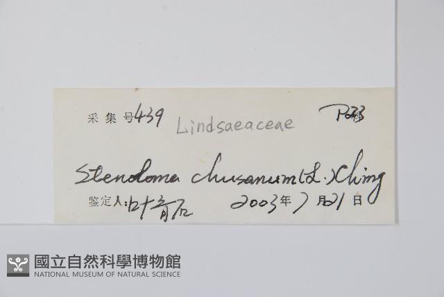 烏蕨藏品圖，第2張