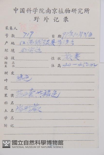 華東安蕨藏品圖，第2張