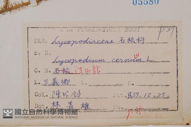 過山龍藏品圖，第2張