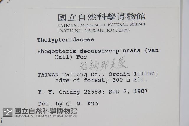 Accession Number:P000920 Collection Image, Figure 2, Total 2 Figures