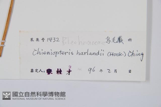 崇澍蕨藏品圖，第2張