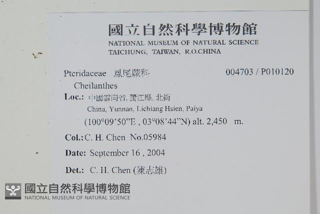 登錄號:P010120藏品圖，第2張